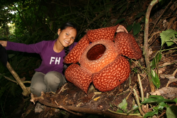 jane and rafflesia.JPG